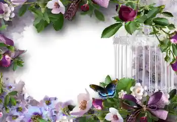 Εφέ φωτογραφιών στην κατηγορία Κορνίζες για φωτογραφίες γυναικών № 127304