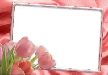 Εφέ φωτογραφιών στην κατηγορία Κορνίζες για φωτογραφίες γυναικών № 12865