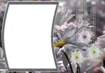 Εφέ φωτογραφιών στην κατηγορία Κορνίζες για φωτογραφίες γυναικών № 12890