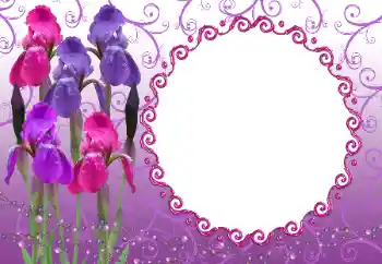 Εφέ φωτογραφιών στην κατηγορία Κορνίζες για φωτογραφίες γυναικών № 12894