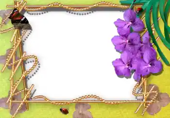 Εφέ φωτογραφιών στην κατηγορία Κορνίζες για φωτογραφίες γυναικών № 12895