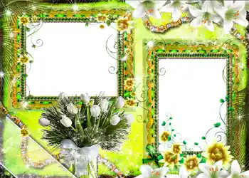 Εφέ φωτογραφιών στην κατηγορία Κορνίζες για φωτογραφίες γυναικών № 1316