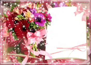 Εφέ φωτογραφιών στην κατηγορία Κορνίζες για φωτογραφίες γυναικών № 1317