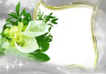 Εφέ φωτογραφιών στην κατηγορία Κορνίζες για φωτογραφίες γυναικών № 131819 Εφέ φωτογραφιών στην κατηγορία Κορνίζες για φωτογραφίες γυναικών № 131819