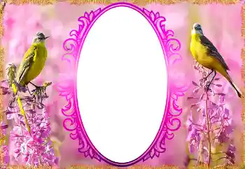 Εφέ φωτογραφιών στην κατηγορία Κορνίζες για φωτογραφίες γυναικών № 132879 Εφέ φωτογραφιών στην κατηγορία Κορνίζες για φωτογραφίες γυναικών № 132879