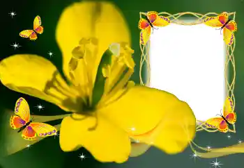 Εφέ φωτογραφιών στην κατηγορία Κορνίζες για φωτογραφίες γυναικών № 132883 Εφέ φωτογραφιών στην κατηγορία Κορνίζες για φωτογραφίες γυναικών № 132883