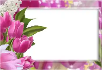 Εφέ φωτογραφιών στην κατηγορία Κορνίζες για φωτογραφίες γυναικών № 133077 Εφέ φωτογραφιών στην κατηγορία Κορνίζες για φωτογραφίες γυναικών № 133077