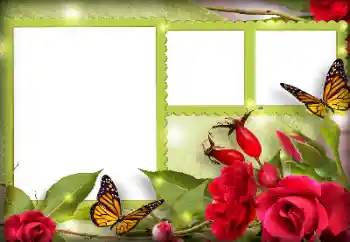 Εφέ φωτογραφιών στην κατηγορία Κορνίζες για φωτογραφίες γυναικών № 134497 Εφέ φωτογραφιών στην κατηγορία Κορνίζες για φωτογραφίες γυναικών № 134497