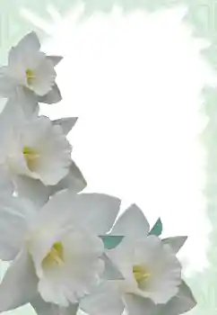 Εφέ φωτογραφιών στην κατηγορία Κορνίζες για φωτογραφίες γυναικών № 13900