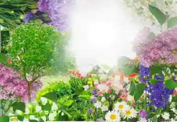 Εφέ φωτογραφιών στην κατηγορία Κορνίζες για φωτογραφίες γυναικών № 13913