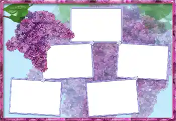 Εφέ φωτογραφιών στην κατηγορία Κορνίζες για φωτογραφίες γυναικών № 13954