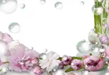 Εφέ φωτογραφιών στην κατηγορία Κορνίζες για φωτογραφίες γυναικών № 139757 Εφέ φωτογραφιών στην κατηγορία Κορνίζες για φωτογραφίες γυναικών № 139757