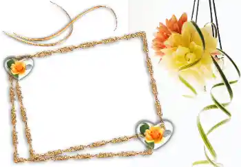 Εφέ φωτογραφιών στην κατηγορία Κορνίζες για φωτογραφίες γυναικών № 13984