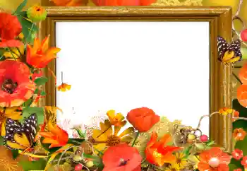 Εφέ φωτογραφιών στην κατηγορία Κορνίζες για φωτογραφίες γυναικών № 139911 Εφέ φωτογραφιών στην κατηγορία Κορνίζες για φωτογραφίες γυναικών № 139911