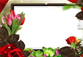 Εφέ φωτογραφιών στην κατηγορία Κορνίζες για φωτογραφίες γυναικών № 139912 Εφέ φωτογραφιών στην κατηγορία Κορνίζες για φωτογραφίες γυναικών № 139912