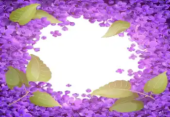 Εφέ φωτογραφιών στην κατηγορία Κορνίζες για φωτογραφίες γυναικών № 141055 Εφέ φωτογραφιών στην κατηγορία Κορνίζες για φωτογραφίες γυναικών № 141055