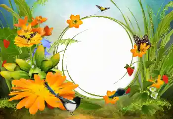 Εφέ φωτογραφιών στην κατηγορία Κορνίζες για φωτογραφίες γυναικών № 142333 Εφέ φωτογραφιών στην κατηγορία Κορνίζες για φωτογραφίες γυναικών № 142333