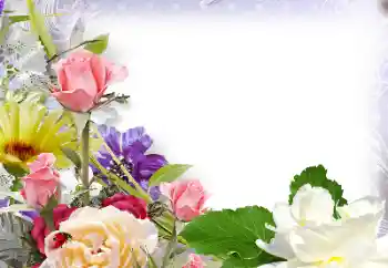 Εφέ φωτογραφιών στην κατηγορία Κορνίζες για φωτογραφίες γυναικών № 142430 Εφέ φωτογραφιών στην κατηγορία Κορνίζες για φωτογραφίες γυναικών № 142430