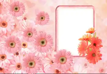 Εφέ φωτογραφιών στην κατηγορία Κορνίζες για φωτογραφίες γυναικών № 143633 Εφέ φωτογραφιών στην κατηγορία Κορνίζες για φωτογραφίες γυναικών № 143633