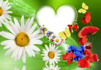 Εφέ φωτογραφιών στην κατηγορία Κορνίζες για φωτογραφίες γυναικών № 143780 Εφέ φωτογραφιών στην κατηγορία Κορνίζες για φωτογραφίες γυναικών № 143780