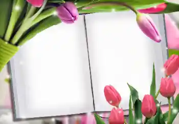 Εφέ φωτογραφιών στην κατηγορία Κορνίζες για φωτογραφίες γυναικών № 145223 Εφέ φωτογραφιών στην κατηγορία Κορνίζες για φωτογραφίες γυναικών № 145223