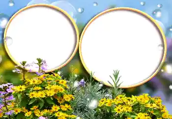 Εφέ φωτογραφιών στην κατηγορία Κορνίζες για φωτογραφίες γυναικών № 146355 Εφέ φωτογραφιών στην κατηγορία Κορνίζες για φωτογραφίες γυναικών № 146355