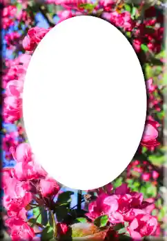 Εφέ φωτογραφιών στην κατηγορία Κορνίζες για φωτογραφίες γυναικών № 147641 Εφέ φωτογραφιών στην κατηγορία Κορνίζες για φωτογραφίες γυναικών № 147641