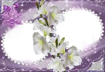 Εφέ φωτογραφιών στην κατηγορία Κορνίζες για φωτογραφίες γυναικών № 15023