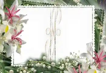 Εφέ φωτογραφιών στην κατηγορία Κορνίζες για φωτογραφίες γυναικών № 15027