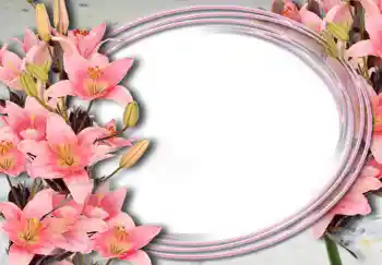 Εφέ φωτογραφιών στην κατηγορία Κορνίζες για φωτογραφίες γυναικών № 15032