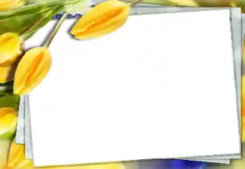 Εφέ φωτογραφιών στην κατηγορία Κορνίζες για φωτογραφίες γυναικών № 150591