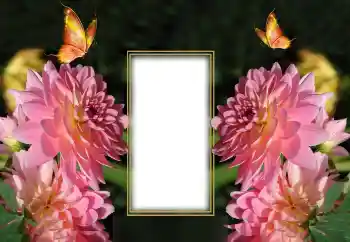 Εφέ φωτογραφιών στην κατηγορία Κορνίζες για φωτογραφίες γυναικών № 150649