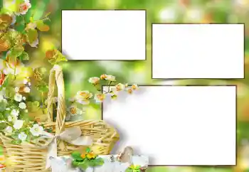 Εφέ φωτογραφιών στην κατηγορία Κορνίζες για φωτογραφίες γυναικών № 151667