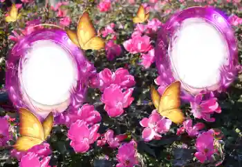 Εφέ φωτογραφιών στην κατηγορία Κορνίζες για φωτογραφίες γυναικών № 151815