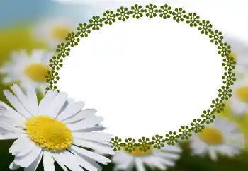 Εφέ φωτογραφιών στην κατηγορία Κορνίζες για φωτογραφίες γυναικών № 152966 Εφέ φωτογραφιών στην κατηγορία Κορνίζες για φωτογραφίες γυναικών № 152966