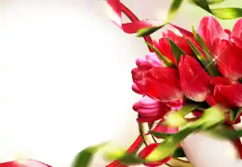 Εφέ φωτογραφιών στην κατηγορία Κορνίζες για φωτογραφίες γυναικών № 153228