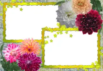 Εφέ φωτογραφιών στην κατηγορία Κορνίζες για φωτογραφίες γυναικών № 154361 Εφέ φωτογραφιών στην κατηγορία Κορνίζες για φωτογραφίες γυναικών № 154361