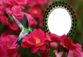 Εφέ φωτογραφιών στην κατηγορία Κορνίζες για φωτογραφίες γυναικών № 154585 Εφέ φωτογραφιών στην κατηγορία Κορνίζες για φωτογραφίες γυναικών № 154585