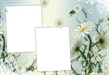 Εφέ φωτογραφιών στην κατηγορία Κορνίζες για φωτογραφίες γυναικών № 154786