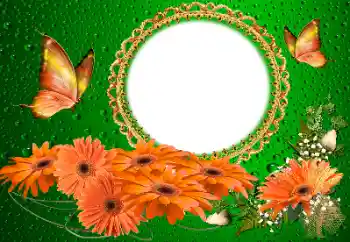 Εφέ φωτογραφιών στην κατηγορία Κορνίζες για φωτογραφίες γυναικών № 155817 Εφέ φωτογραφιών στην κατηγορία Κορνίζες για φωτογραφίες γυναικών № 155817