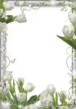 Εφέ φωτογραφιών στην κατηγορία Κορνίζες για φωτογραφίες γυναικών № 155849