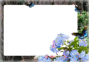 Εφέ φωτογραφιών στην κατηγορία Κορνίζες για φωτογραφίες γυναικών № 155873