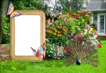 Εφέ φωτογραφιών στην κατηγορία Κορνίζες για φωτογραφίες γυναικών № 155936