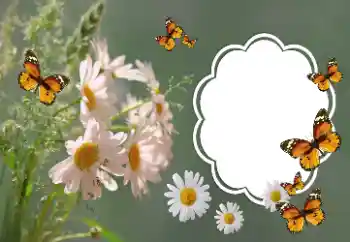 Εφέ φωτογραφιών στην κατηγορία Κορνίζες για φωτογραφίες γυναικών № 157064