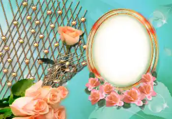 Εφέ φωτογραφιών στην κατηγορία Κορνίζες για φωτογραφίες γυναικών № 157126