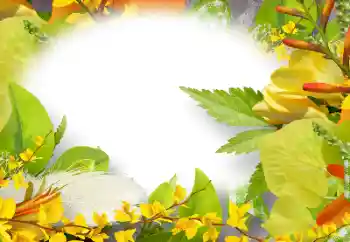 Εφέ φωτογραφιών στην κατηγορία Κορνίζες για φωτογραφίες γυναικών № 158274