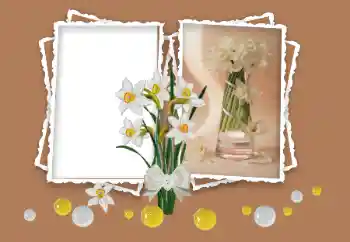 Εφέ φωτογραφιών στην κατηγορία Κορνίζες για φωτογραφίες γυναικών № 158348