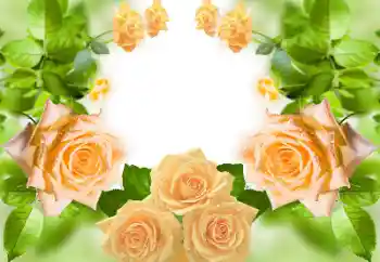 Εφέ φωτογραφιών στην κατηγορία Κορνίζες για φωτογραφίες γυναικών № 158383