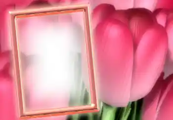 Εφέ φωτογραφιών στην κατηγορία Κορνίζες για φωτογραφίες γυναικών № 15899