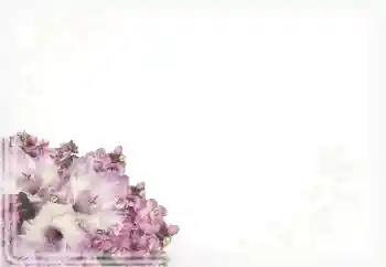 Εφέ φωτογραφιών στην κατηγορία Κορνίζες για φωτογραφίες γυναικών № 15911